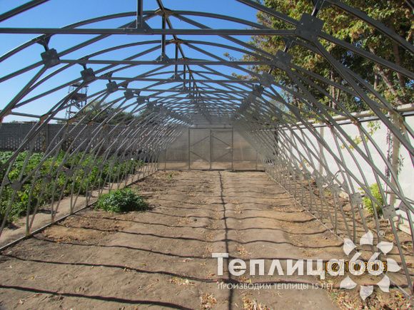 Теплица Рада Фермер 5,0 промышленная шириной 5 метров, под сотовый поликарбонат, оцинкованный каркас (разборная, в коробке)